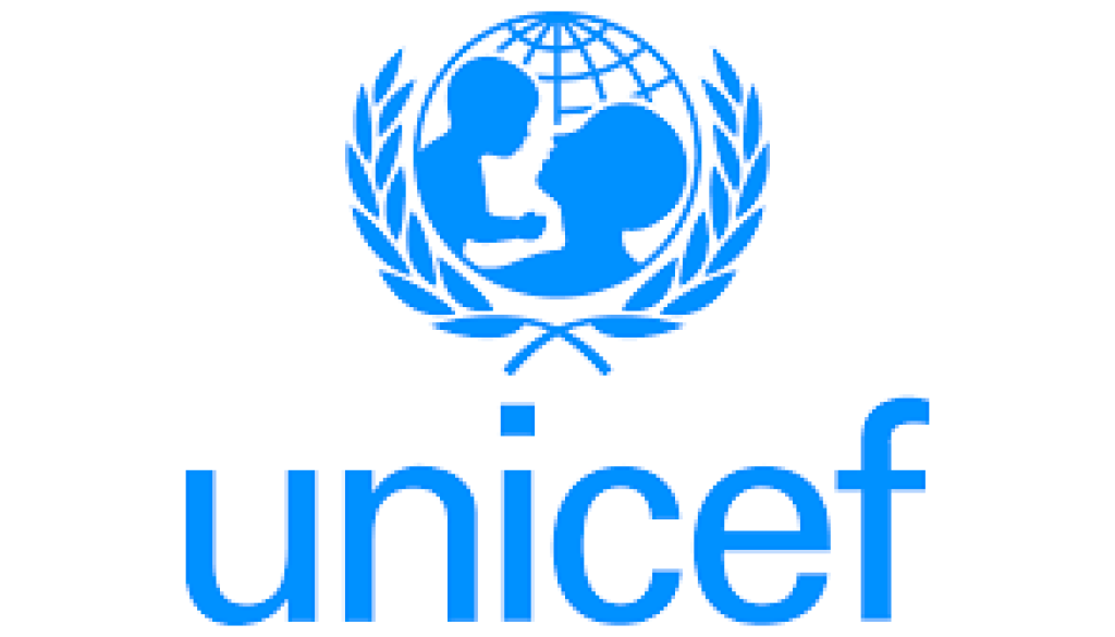 Partnerships Officer Vacancy-Job Ref: EJLIUNICEF/0809/202664